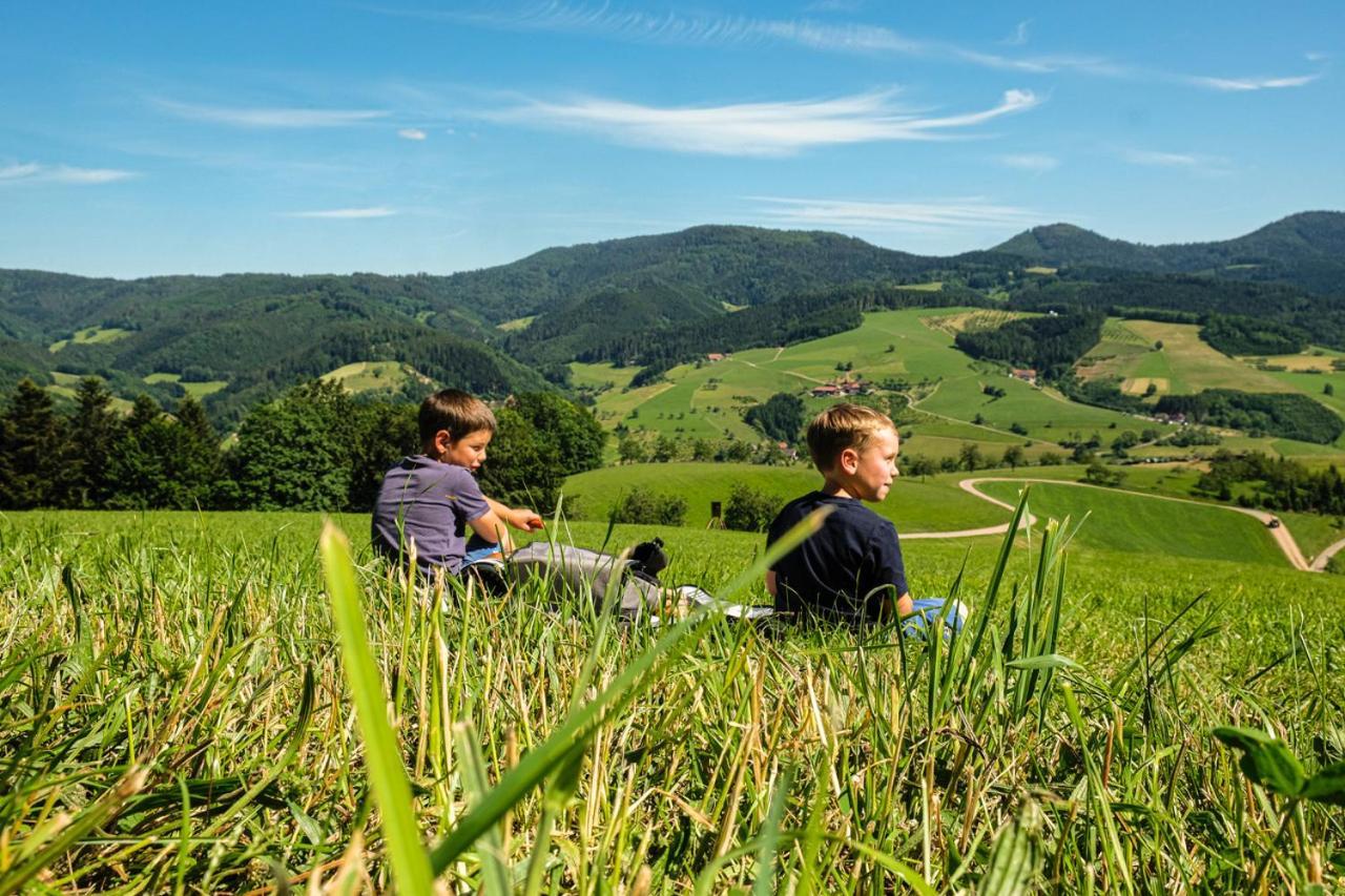 Ferienwohnung Mit Komfort Oberharmersbach Kültér fotó