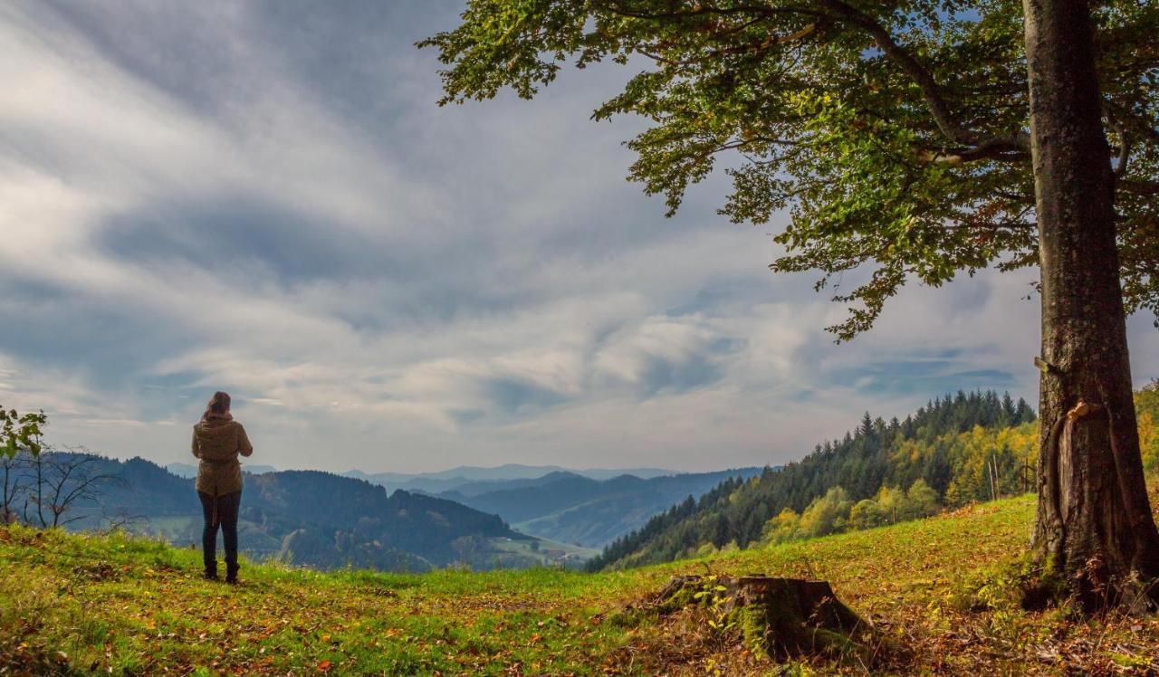 Ferienwohnung Mit Komfort Oberharmersbach Kültér fotó