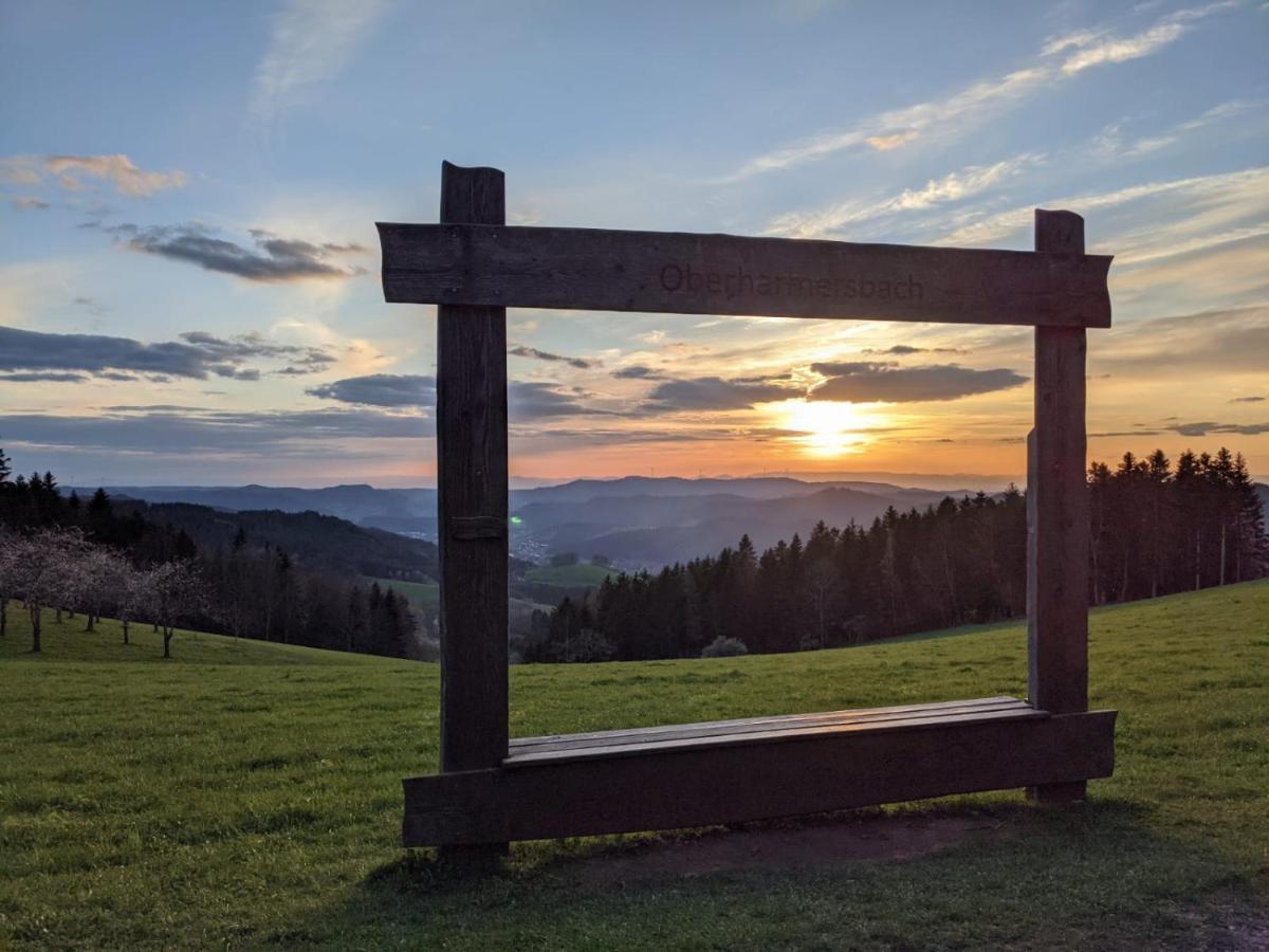 Ferienwohnung Mit Komfort Oberharmersbach Kültér fotó