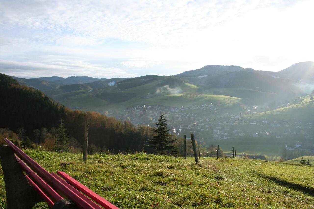 Ferienwohnung Mit Komfort Oberharmersbach Kültér fotó