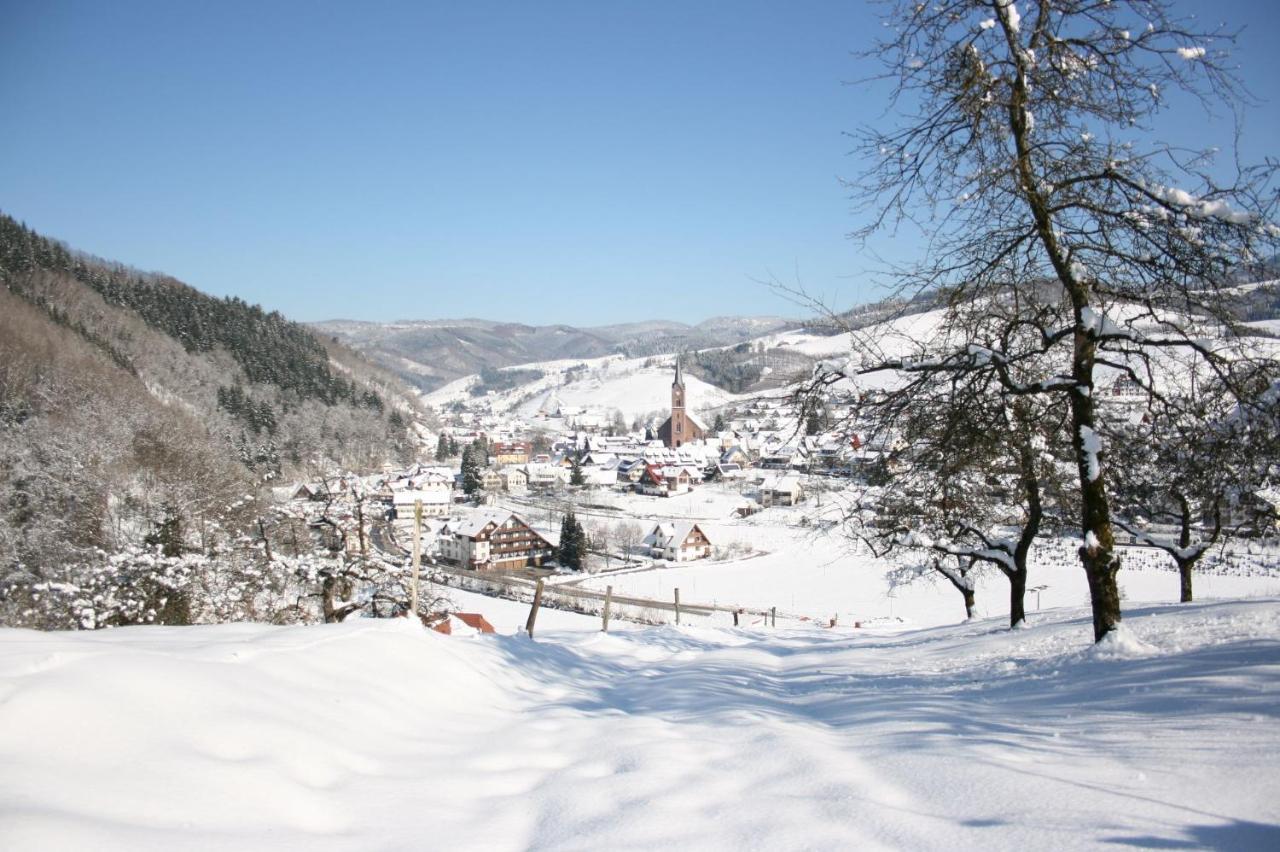 Ferienwohnung Mit Komfort Oberharmersbach Kültér fotó