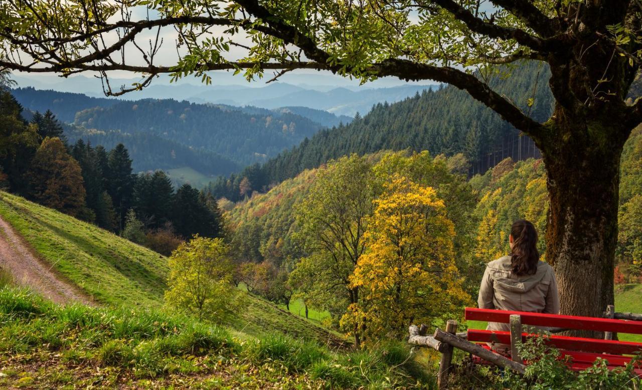 Ferienwohnung Mit Komfort Oberharmersbach Kültér fotó